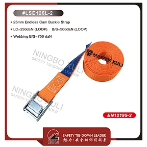 25mm Endless Cam Buckle lashing strap