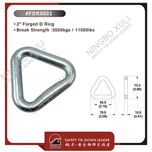 50mmx5000kgs Forged D Ring for Cargo Lashing Accessory