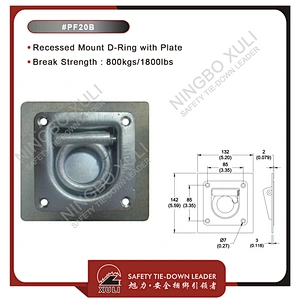 Recessed Mount D-Ring with Plate