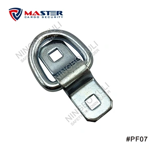 Surface Mount D-Ring with Bracket