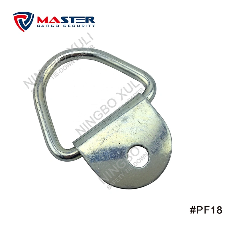 Surface Mount D-Ring with Bracket