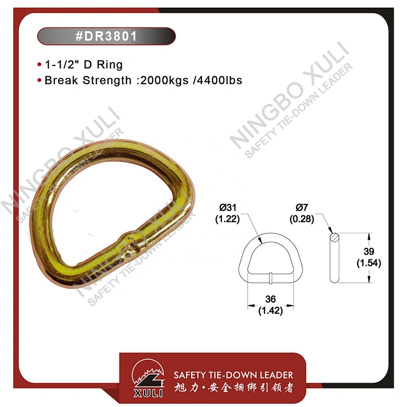 35mmx2000kgs D Ring for Cargo Lashing Accessory