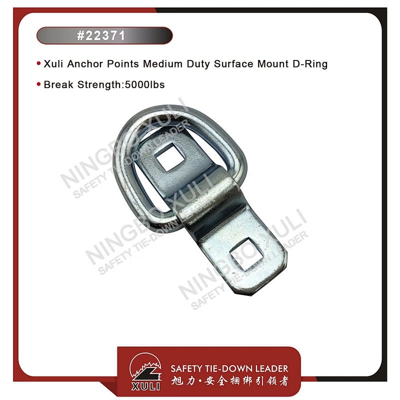 Xuli Anchor Points Medium Duty Surface Mount D-Ring