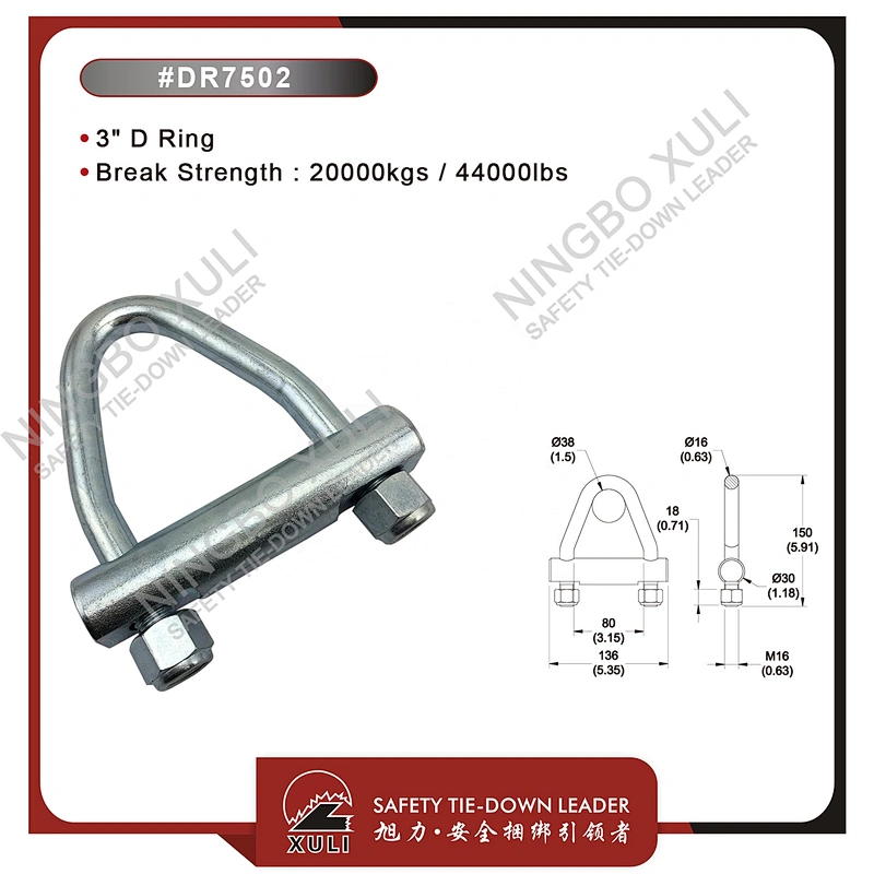 75mmx20000kgs D Ring for Cargo Lashing Accessory