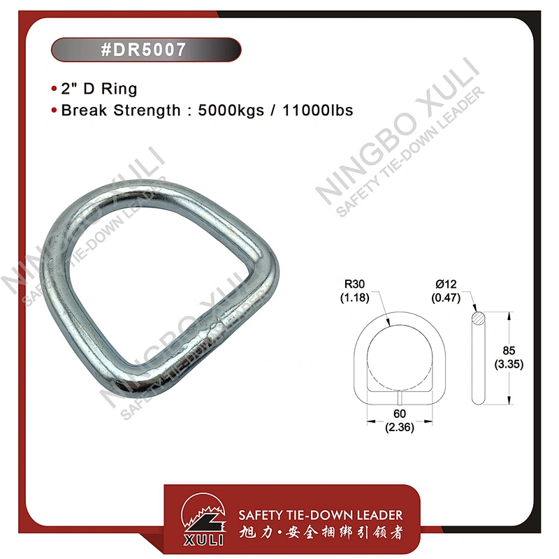 50mmx5000kgs D Ring for Cargo Lashing Accessory