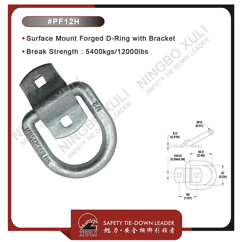Surface Mount Forged D-Ring with Bracket