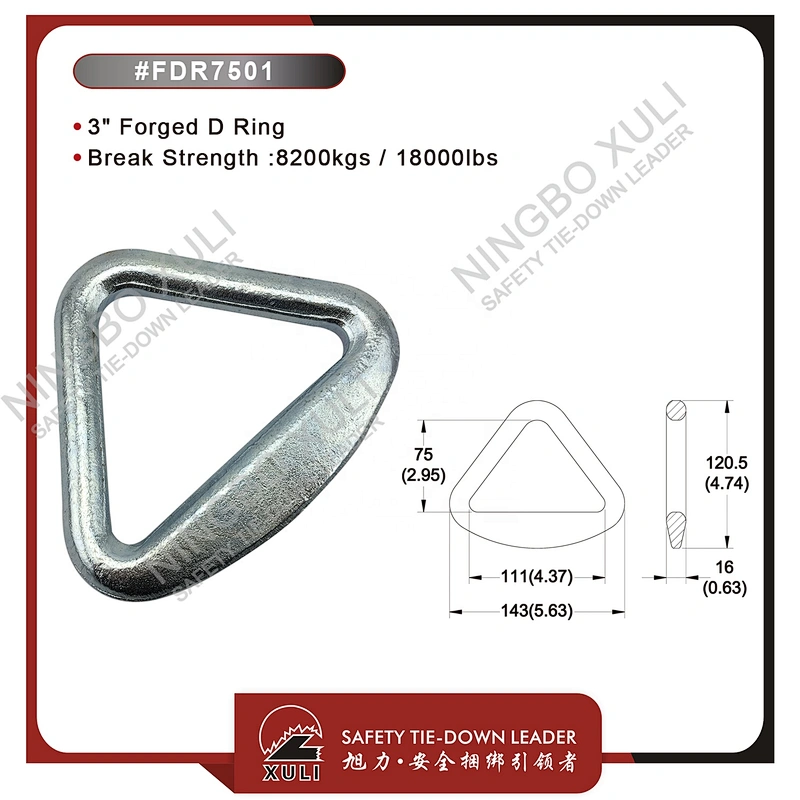 75mmx8200kgs Forged D Ring for Cargo Lashing Accessory