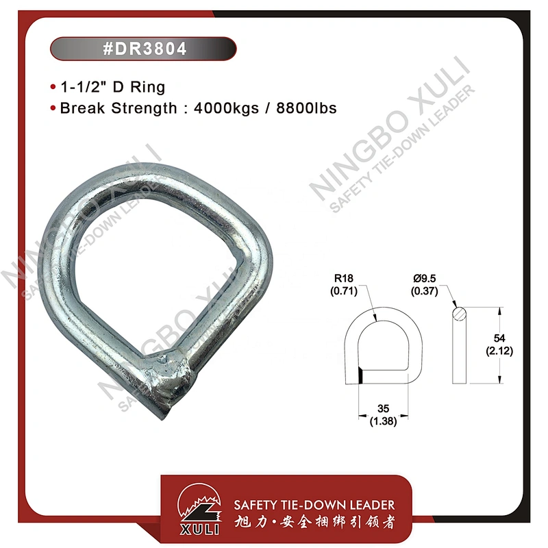 35mmx4000kgs D Ring for Cargo Lashing Accessory