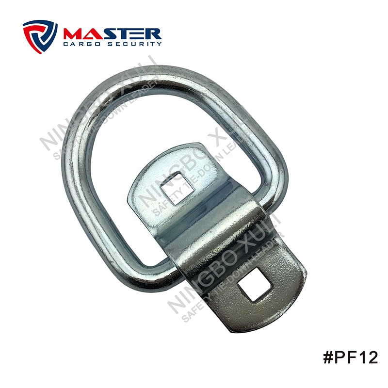 Surface Mount D-Ring with Bracket