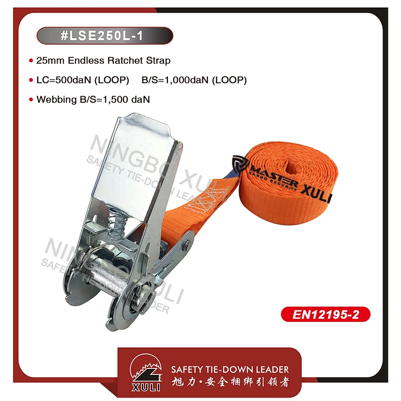 25mm BS 1000kg Endless Ratchet tie down Strap
