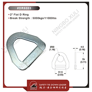 50mmx5000kgs Flat D Ring for Cargo Lashing Accessory