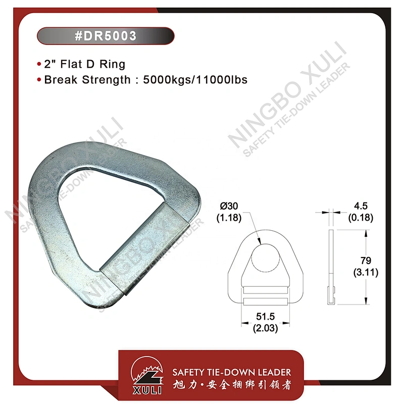 50mmx5000kgs Flat D Ring for Cargo Lashing Accessory