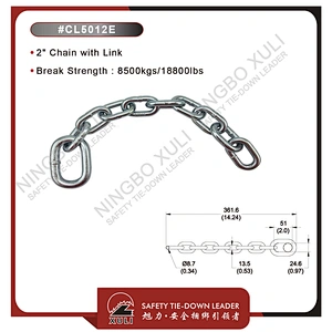 Chain with Link