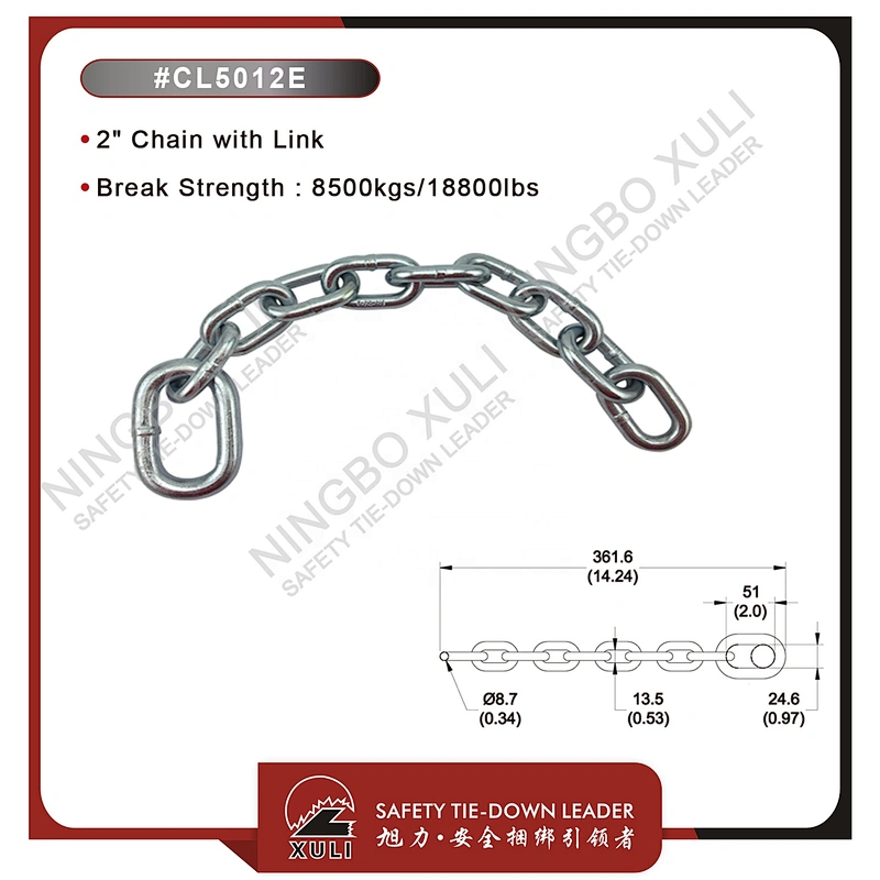 Chain with Link