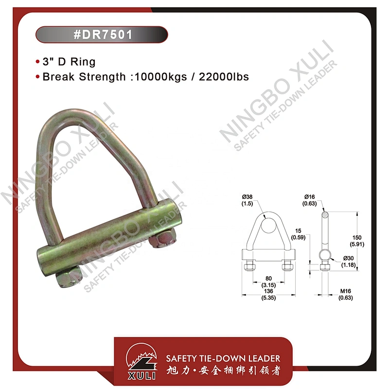 75mmx10000kgs D Ring for Cargo Lashing Accessory