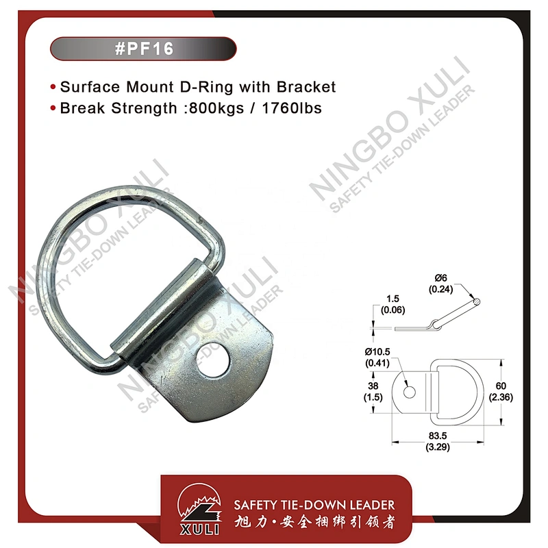 Surface Mount D-Ring with Bracket