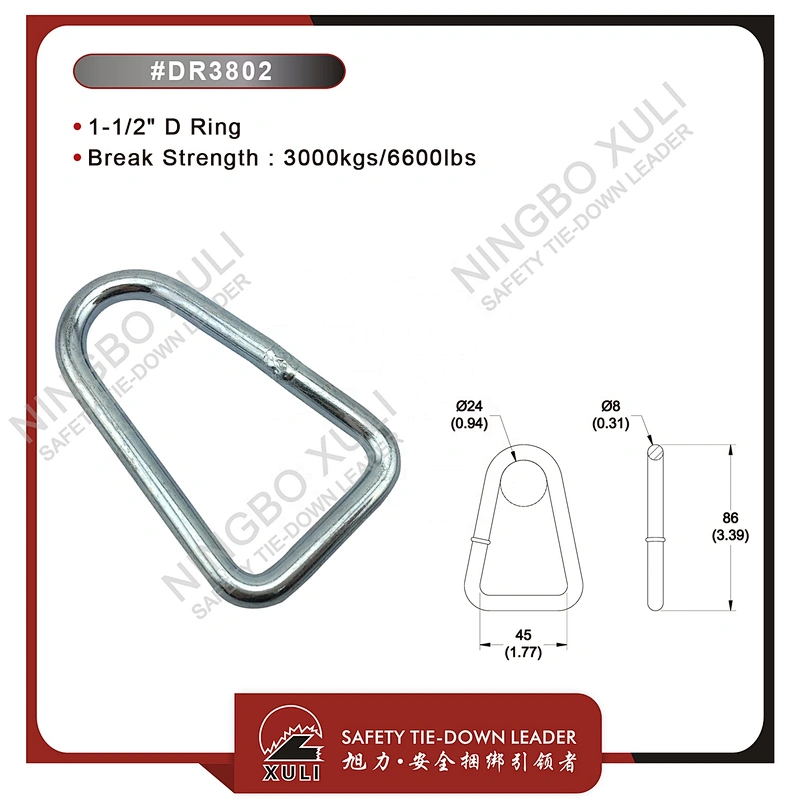 35mmx3000kgs D Ring for Cargo Lashing Accessory