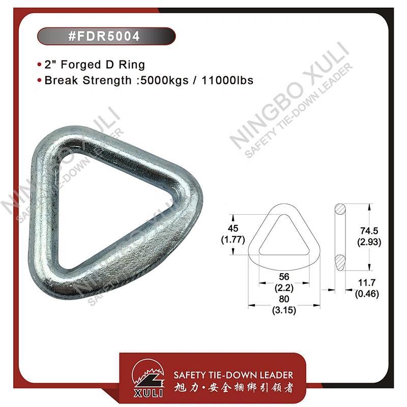 50mmx5000kgs Forged D Ring for Cargo Lashing Accessory
