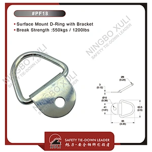 Surface Mount D-Ring with Bracket