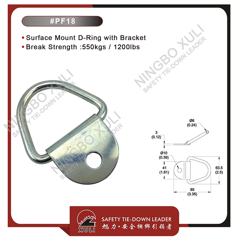 Surface Mount D-Ring with Bracket