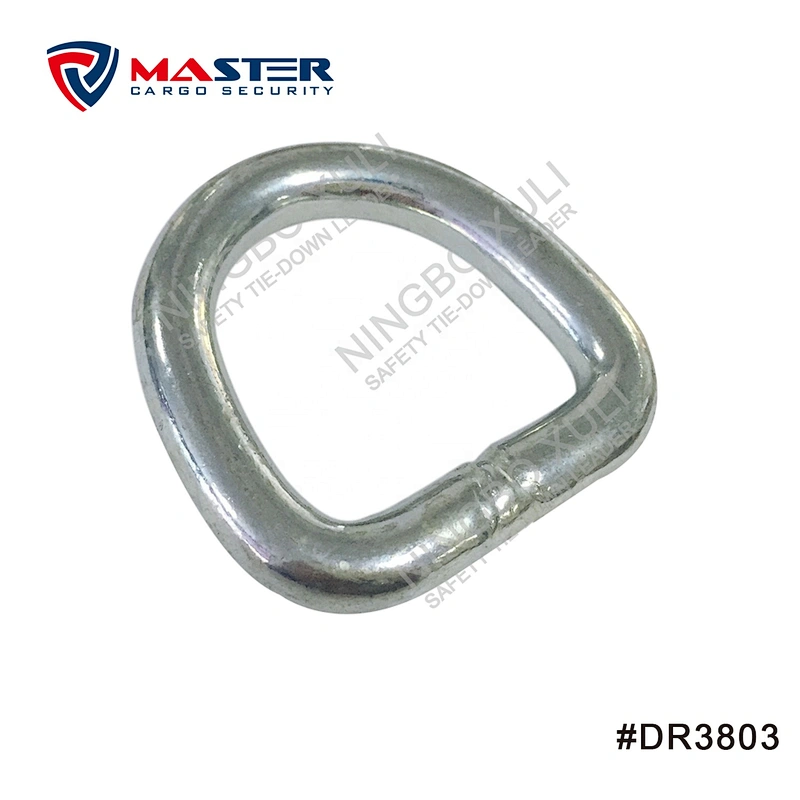 35mmx3000kgs D Ring for Cargo Lashing Accessory