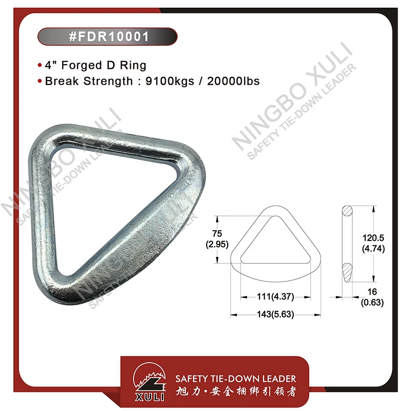 100mmx9100kgs Forged D Ring for Cargo Lashing Accessory
