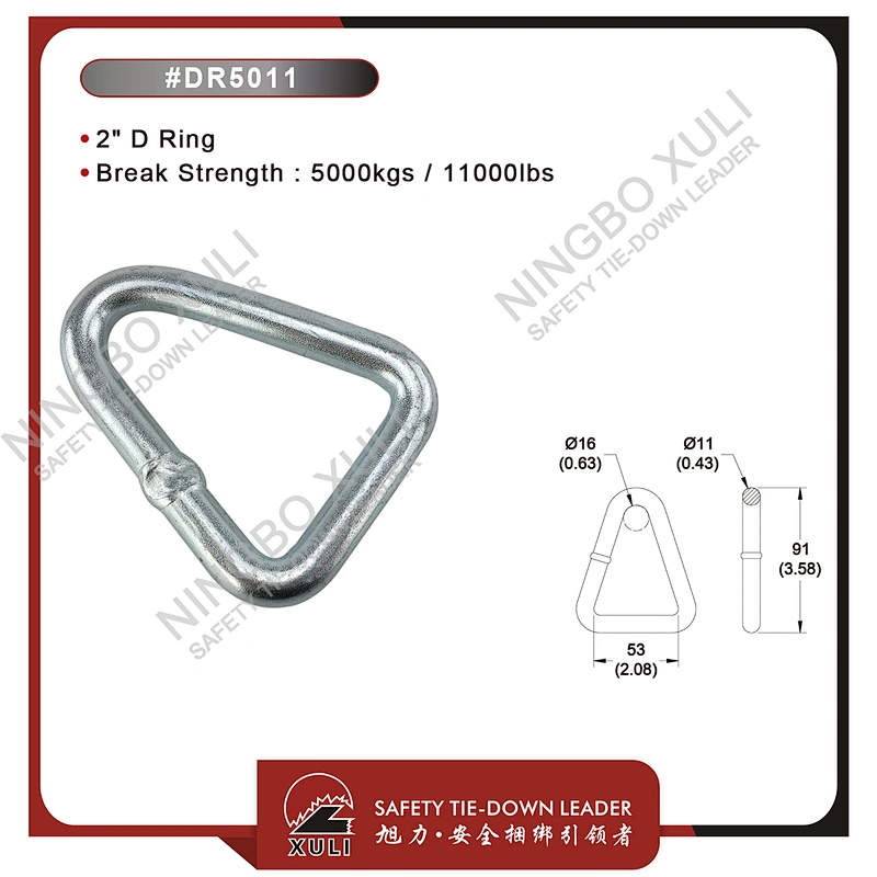 50mmx5000kgs D Ring for Cargo Lashing Accessory