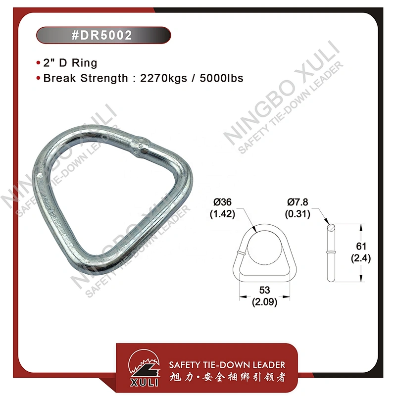 50mmx2270kgs D Ring for Cargo Lashing Accessory