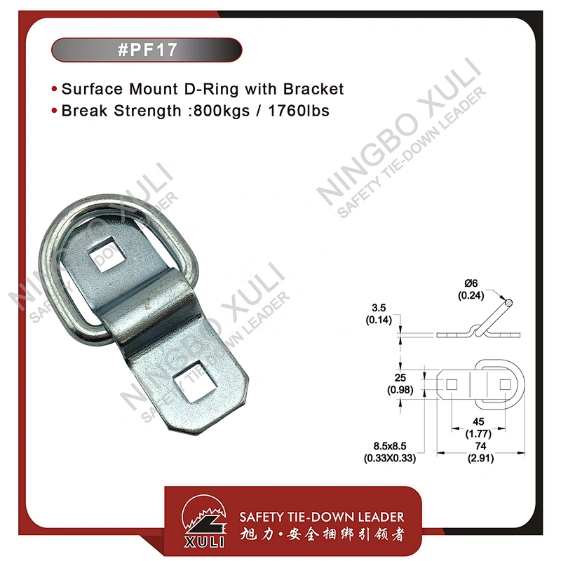 Surface Mount D-Ring with Bracket