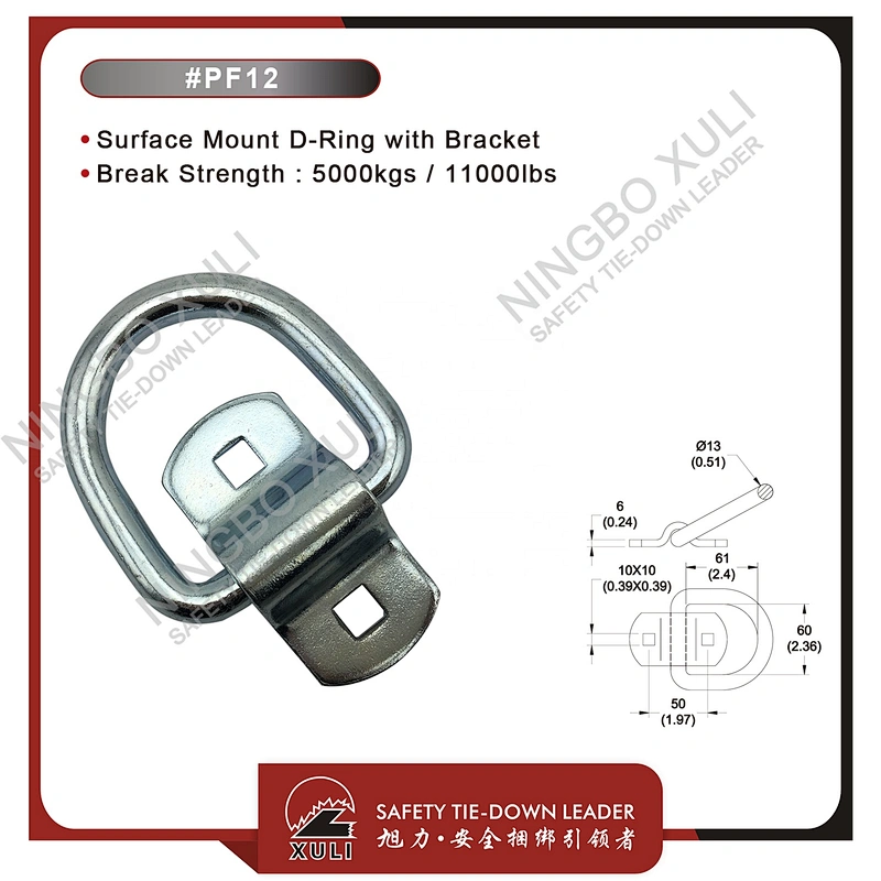 Surface Mount D-Ring with Bracket