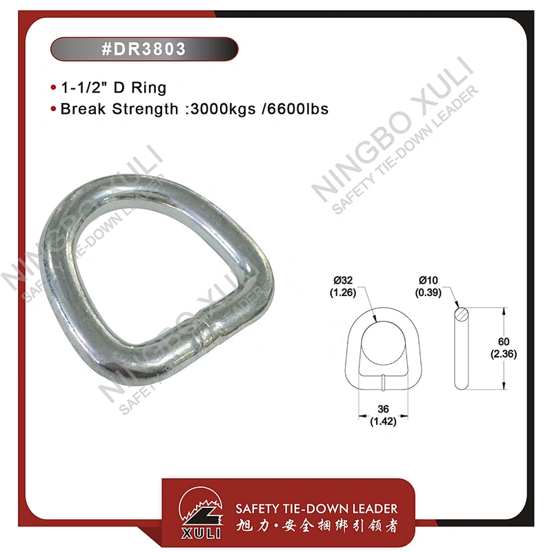35mmx3000kgs D Ring for Cargo Lashing Accessory