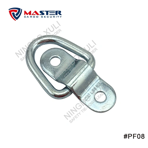 Surface Mount D-Ring with Bracket