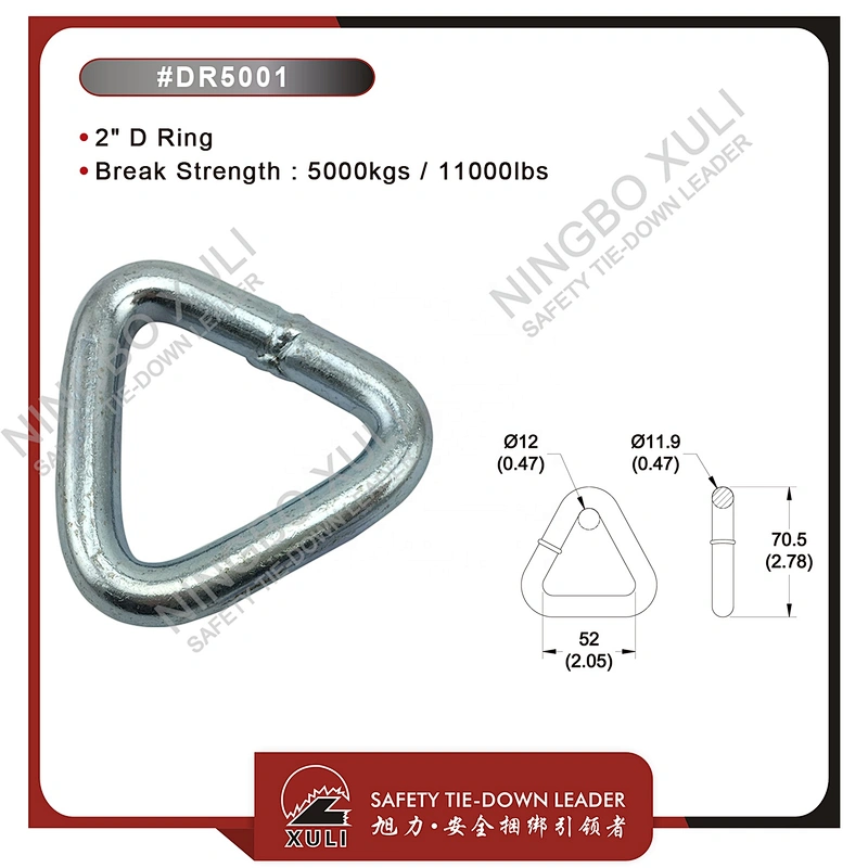 50mmx5000kgs D Ring for Cargo Lashing Accessory
