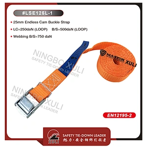 25mm BS 500kg  Endless Cam Buckle lashing Straps
