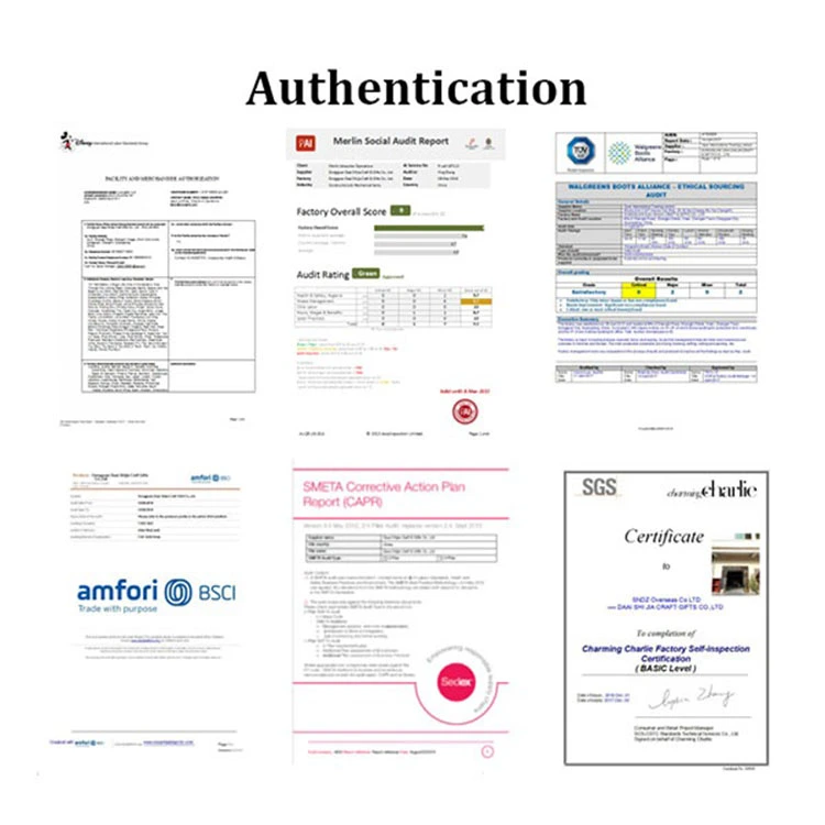 Authentication