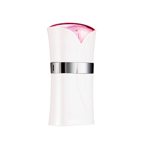 Durable Mini Micro-Current Face Lifting Device