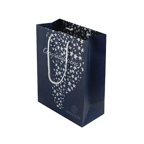 Gift bag，Paper bag，Hand holding  bag，Kraft paper bags, paper bag shopping,Hand bag