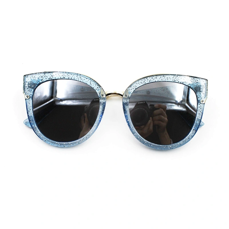 Fashionable oversize transparent frame sunglasses