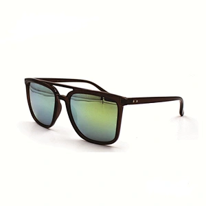 2021 New design wholesale vintage plastic sunglasses