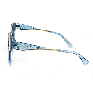 Fashionable oversize transparent frame sunglasses