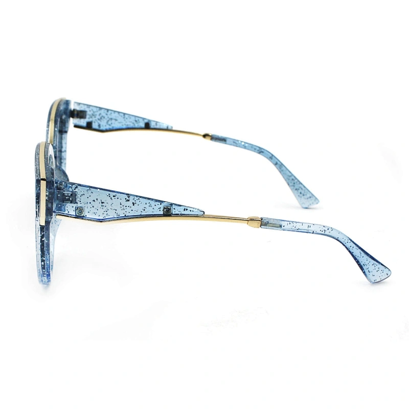 Fashionable oversize transparent frame sunglasses