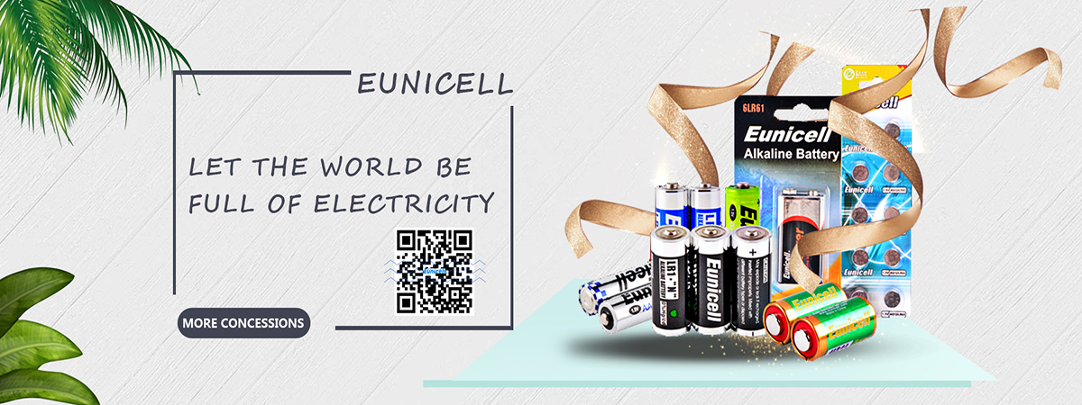 Eunicell Battery