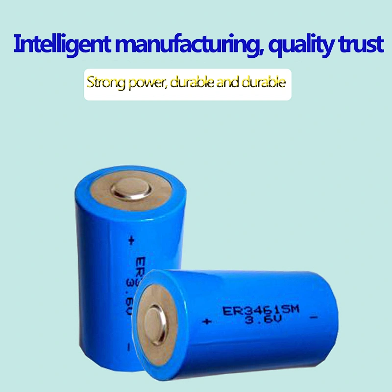 China supplier 19Ah D ER34615 3.6v Lithium Battery for Water Meter