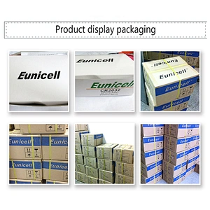 EUNICELL MANUFACTURER/OEM Non Rechargeable Pro AA AAA LiFeS2 LFP LIFEPO4 Wholesale Battery