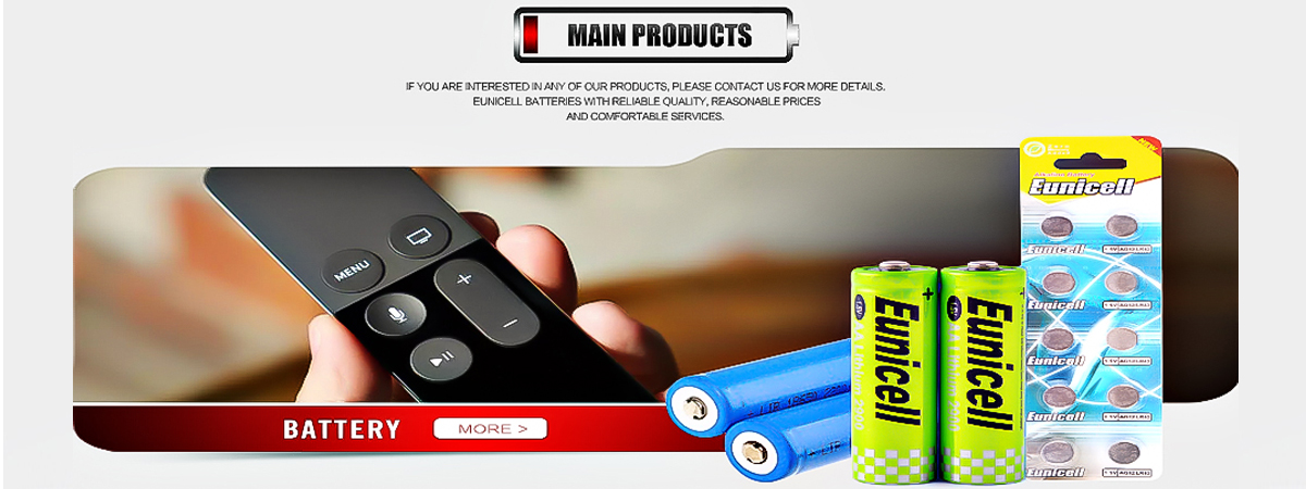 Main Products
