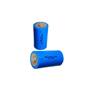 7.2V 19Ah Lithium Battery ER34615 Lithium D Size 34615 Battery Pack for ATM Machine