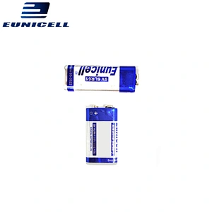 EUNICELL Alkaline Batteries 1.5V AA/AAA/C/D, 9V 6LR61/6F22,12V 23A/27A