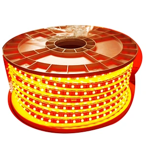 100M Waterproof 220v smd rgb led 5050 strip with power plug 24key remote control