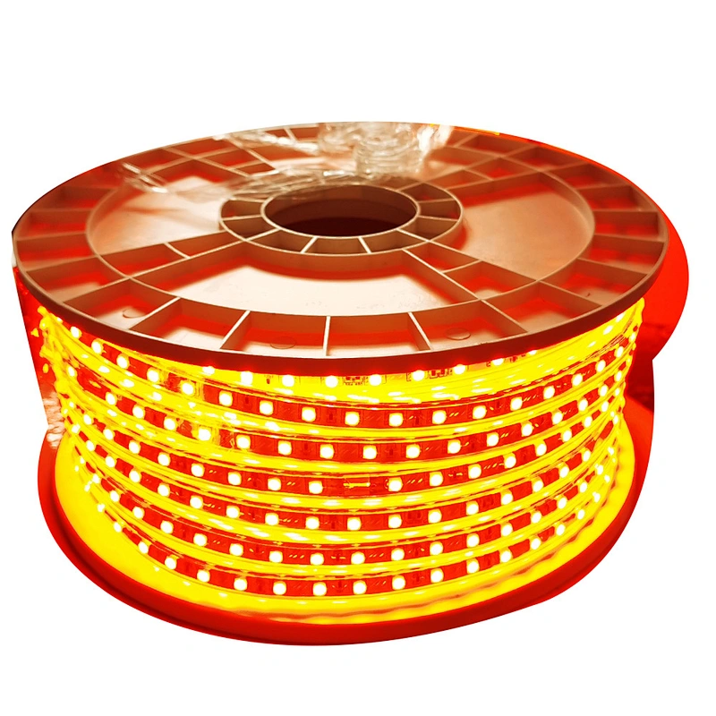 100M Waterproof 220v smd rgb led 5050 strip with power plug 24key remote control