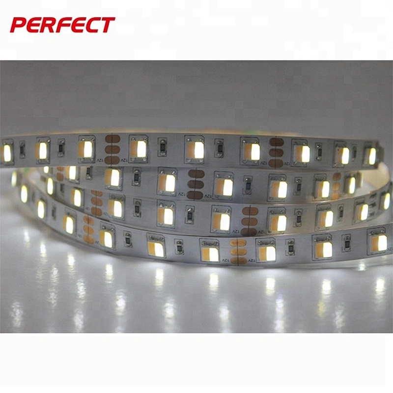 White+Warm white color temperature adjustable 60led/m smd5050 led strip 12v dual color CCT